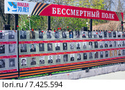 Стена памяти с фотографиями "Бессмертный полк" (2015 год). Редакционное фото, фотограф Николай Лемешев / Фотобанк Лори