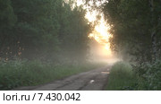 Утро и туман на сельской дороге. Timelapse. Скорость х96. Стоковое видео, видеограф Mike The / Фотобанк Лори