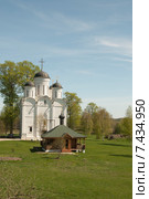 Храм Архангела Михаила в селе Микулино Городище (2015 год). Стоковое фото, фотограф Александр Курлович / Фотобанк Лори