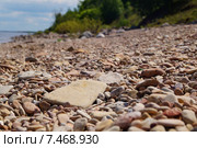 Галечный берег. Стоковое фото, фотограф Константин Кург / Фотобанк Лори