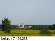 Сергиев Посад, село Радонеж, церковь Преображения Господня (2015 год). Стоковое фото, фотограф Алексей Дроздов / Фотобанк Лори