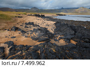 Исландский пейзаж с вылканическими камнями (2009 год). Стоковое фото, фотограф Александр Трофимов / Фотобанк Лори