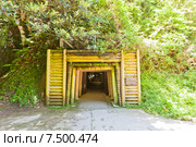 Деревянные ворота, Ryugenji Mabu Shaft of Iwami Ginzan Silver Mine, Япония (2015 год). Стоковое фото, фотограф Иван Марчук / Фотобанк Лори