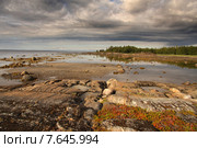 Белое море. Стоковое фото, фотограф Александр Коротков / Фотобанк Лори