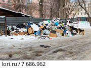 Куча бытового мусора в городском дворе (2015 год). Редакционное фото, фотограф Сергей Лаврентьев / Фотобанк Лори