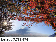 Mt. Fuji with fall colors in Japan. Стоковое фото, фотограф Nicholas Han / PantherMedia / Фотобанк Лори