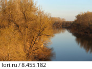 Вечером у полноводного Тобола. Стоковое фото, фотограф Анатолий Матвейчук / Фотобанк Лори