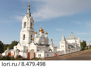 Свято-Троицкий Стефанов монастырь на фоне неба с облаками, Россия, Пермь (2015 год). Стоковое фото, фотограф Наталия Макарова / Фотобанк Лори