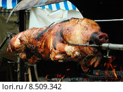 Spit-roasted pork. Стоковое фото, фотограф pascal coupry / PantherMedia / Фотобанк Лори