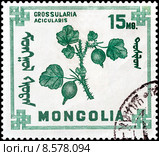 Крыжовник на марке Монголии 1968 года. Стоковая иллюстрация, иллюстратор Владимир Макеев / Фотобанк Лори