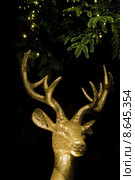 decoration christmas gold xmas yule. Стоковое фото, фотограф Daniel Schoenen / Smarterpix / Фотобанк Лори
