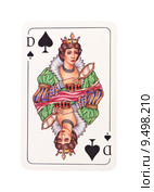 Queen of Spades. Стоковое фото, фотограф Lisa Wahman / PantherMedia / Фотобанк Лори