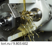 Oil in machine. Стоковое фото, фотограф Lisa Wahman / PantherMedia / Фотобанк Лори