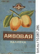 Старая этикетка от наливки. Наливка айвовая. Редакционная иллюстрация, иллюстратор Ирина Радомакина / Фотобанк Лори