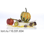 decoration autumn leaves fall apple. Стоковое фото, фотограф Karl Koller / PantherMedia / Фотобанк Лори