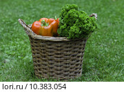 Basket of fresh  vegetable. Стоковое фото, фотограф daniel guffanti / PantherMedia / Фотобанк Лори