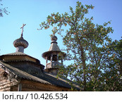Яблоня с яблоками рядом с деревянной церковью в Великом Новгороде (2005 год). Стоковое фото, фотограф Инна Свиристель / Фотобанк Лори