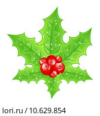 Christmas decoration holly berry branches isolated on white back. Стоковая иллюстрация, иллюстратор Oleg Tirunov / PantherMedia / Фотобанк Лори