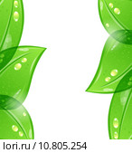 Abstract eco green background. Стоковое фото, фотограф Oleg Tirunov / PantherMedia / Фотобанк Лори
