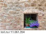 Old Tuscany building with flowers, Pienza, Italy. Стоковое фото, фотограф Frank Fischbach / PantherMedia / Фотобанк Лори