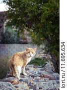 Looking back. Стоковое фото, фотограф Rüdiger Wittmann / PantherMedia / Фотобанк Лори