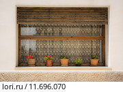 Garden plot. Стоковое фото, фотограф Rüdiger Wittmann / PantherMedia / Фотобанк Лори
