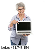 Ellderly woman working with a laptop. Стоковое фото, фотограф Erik Reis / PantherMedia / Фотобанк Лори