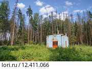 Московская область, Орехово-Зуевский район, часовня великомученика Никиты (2015 год). Стоковое фото, фотограф Павел Москаленко / Фотобанк Лори