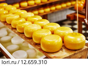cheese production. Стоковое фото, фотограф Дмитрий Калиновский / Фотобанк Лори