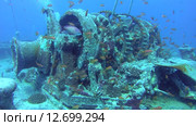 Лебедка на затонувшем судне SS Thistlegorm в Красном море (2014 год). Редакционное видео, видеограф KEN VOSAR / Фотобанк Лори