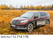Honda CR-V (2015 год). Редакционное фото, фотограф Art Konovalov / Фотобанк Лори