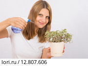 Девушка увлажняет домашнее растение. Стоковое фото, фотограф Иванов Алексей / Фотобанк Лори