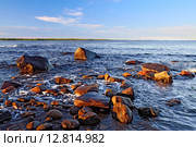 Берег Белого моря летним вечером. Карелия, Россия. Стоковое фото, фотограф Сергей Трофименко / Фотобанк Лори