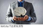 Human brain. Стоковое фото, фотограф Sergey Nivens / Фотобанк Лори