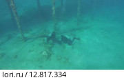 Два дайвера обследуют основание причала над песчаным дном, Красное море, Марса-эль-Алам, бухта Абу-Дабаб, Египет. Стоковое видео, видеограф Некрасов Андрей / Фотобанк Лори