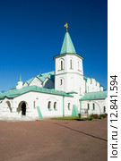 Государева ратная палата. Пушкин (2015 год). Редакционное фото, фотограф Александр Щепин / Фотобанк Лори