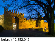 Gate of Alcazar de los Reyes Cristianos in Cordoba (2014 год). Стоковое фото, фотограф Яков Филимонов / Фотобанк Лори