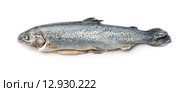 the gutted trout. Стоковое фото, фотограф Jiri Hera / PantherMedia / Фотобанк Лори