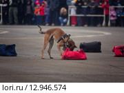 Interpolitex-2015. Демонстрационный показ бойцов спецназа ФСКН. Редакционное фото, фотограф Julia Shepeleva / Фотобанк Лори