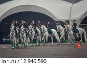 Interpolitex-2015. Конная полиция. Редакционное фото, фотограф Julia Shepeleva / Фотобанк Лори