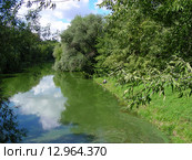 Серебряно-Виноградный пруд в Москве (2008 год). Стоковое фото, фотограф lana1501 / Фотобанк Лори