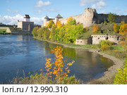 Золотая осень на берегах реки Наровы. Ивангород (2015 год). Стоковое фото, фотограф Виктор Карасев / Фотобанк Лори