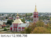 Храм святых благоверных князей Бориса и Глеба. Борисоглебск Воронежская область (2015 год). Стоковое фото, фотограф Сычёва Татьяна / Фотобанк Лори