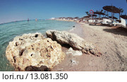 Окаменевшие кораллы на песчаном пляже Красного моря. Курорт Хургада. Египет (2015 год). Стоковое видео, видеограф Кекяляйнен Андрей / Фотобанк Лори