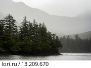 Trees on an island, Skeena-Queen Charlotte Regional District, Haida Gwaii, Graham Island, British Columbia, Canada. Стоковое фото, фотограф Keith Levit / Ingram Publishing / Фотобанк Лори