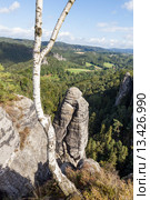 Природный парк Бастай. Саксония. Германия. (2015 год). Стоковое фото, фотограф Сергей Афанасьев / Фотобанк Лори