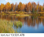 Осенний лесной пейзаж с озером. Усинск, Коми. Стоковое фото, фотограф Сергей Гаврилов / Фотобанк Лори