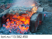 Кусочки курицы запекаются на углях костра на решетке гриль. Стоковое фото, фотограф Иванов Алексей / Фотобанк Лори