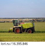 Claas убирает рапс (2015 год). Редакционное фото, фотограф Анатолий Матвейчук / Фотобанк Лори