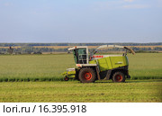 Комбайн Claas убирает рапс (2015 год). Редакционное фото, фотограф Анатолий Матвейчук / Фотобанк Лори